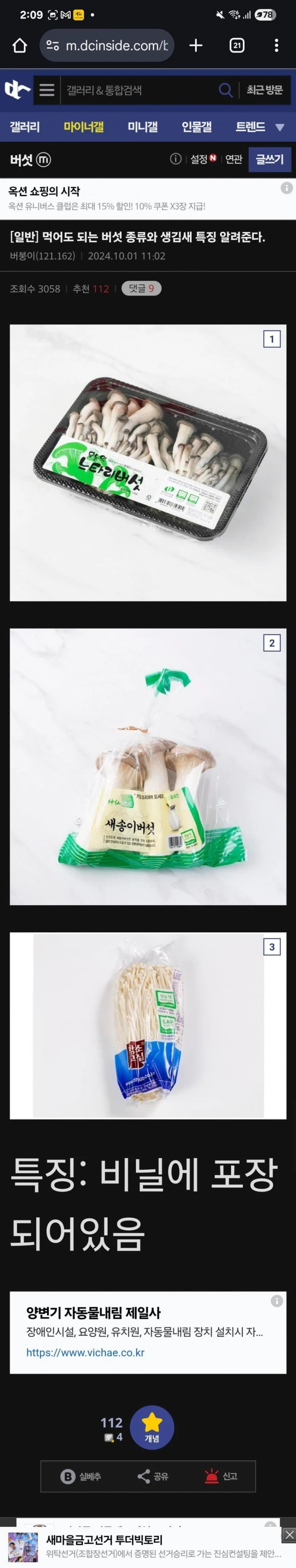 버섯 전문가가 알려주는 식용버섯 특징 