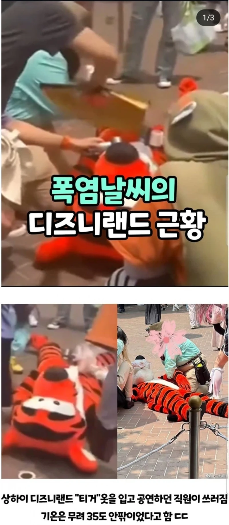 폭염 날씨의 디즈니랜드 근황