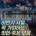 애인이랑 갈만한 25년 하반기 서울시 축제 모음 