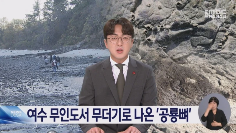 여수 무인도에서 공룡뼈가 무더기로 발견됨