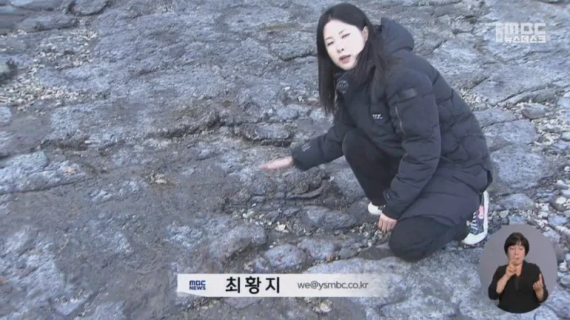 여수 무인도에서 공룡뼈가 무더기로 발견됨-5