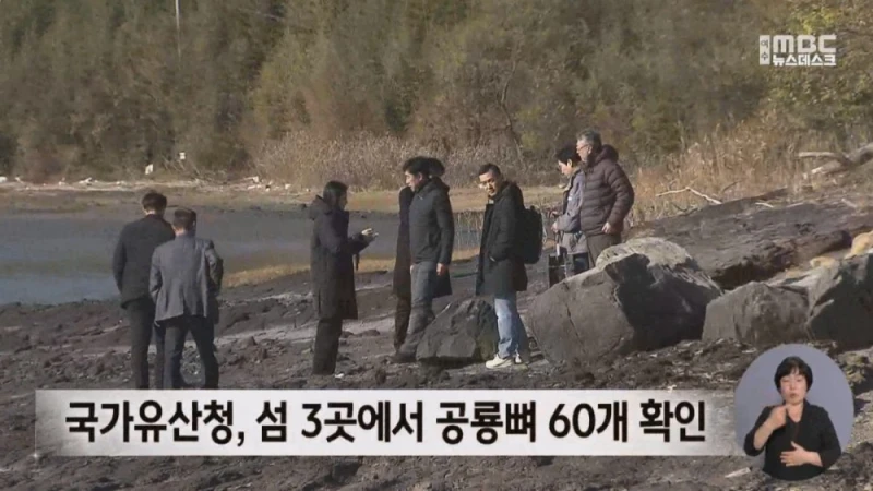 여수 무인도에서 공룡뼈가 무더기로 발견됨-8