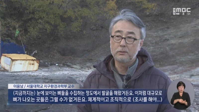 여수 무인도에서 공룡뼈가 무더기로 발견됨-11