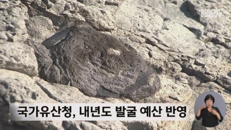 여수 무인도에서 공룡뼈가 무더기로 발견됨-12
