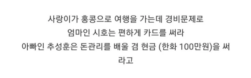 추사랑 홍콩 여행 경비 100만원이면 충분하다는 추성훈 -11
