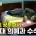 이렇게 공부해서 서울대 의예과 수석 합격