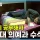 이렇게 공부해서 서울대 의예과 수석 합격