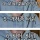 전라도 사람들이 사투리라고 생각 안하는 사투리