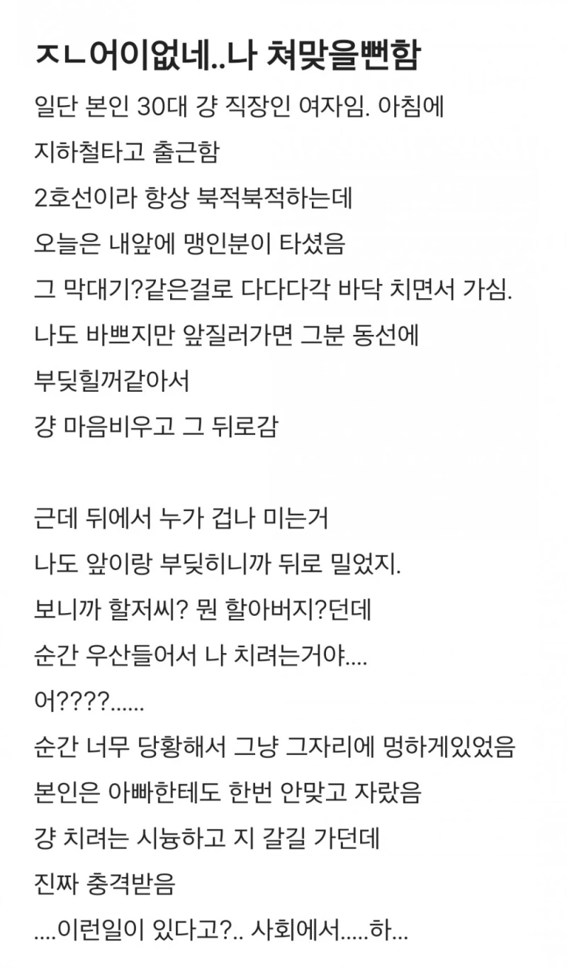 지하철에서 쳐맞을 뻔한 언냐