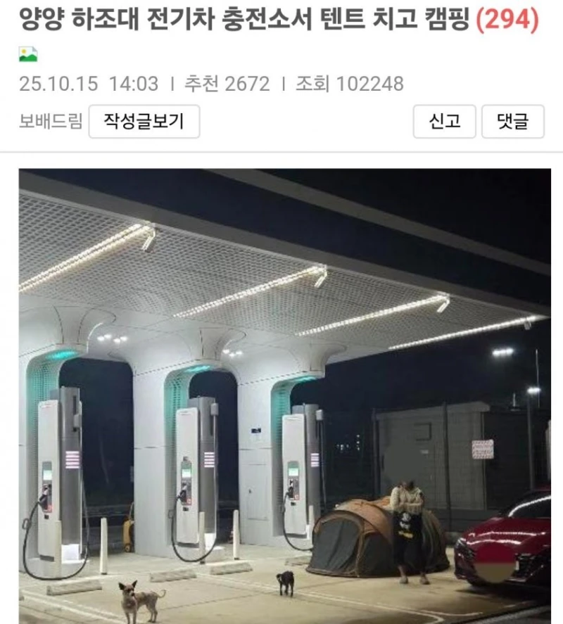 뉴스탄 전기차 충전소 캠핑 강아지 민폐녀 논란 반전 