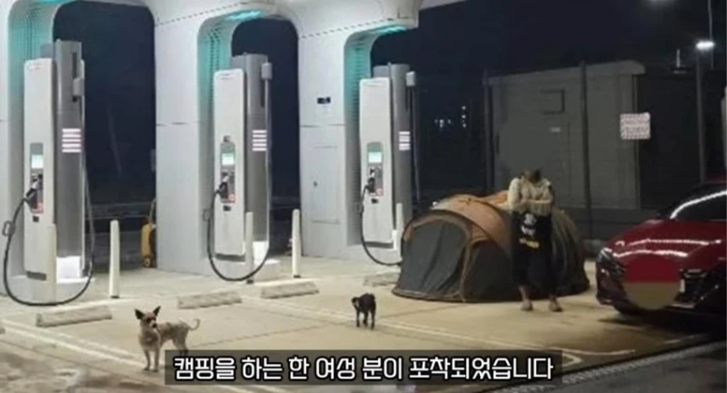 뉴스탄 전기차 충전소 캠핑 강아지 민폐녀 논란 반전 -2