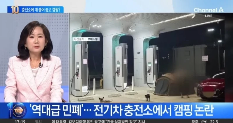뉴스탄 전기차 충전소 캠핑 강아지 민폐녀 논란 반전 -4