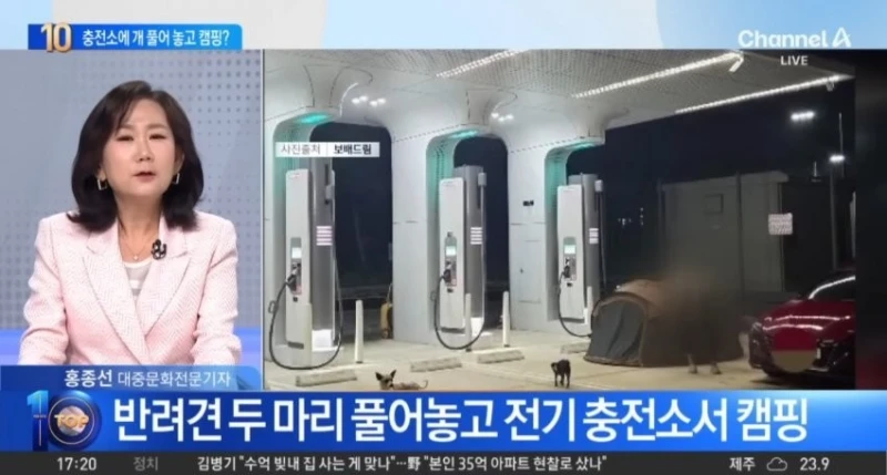 뉴스탄 전기차 충전소 캠핑 강아지 민폐녀 논란 반전 -5