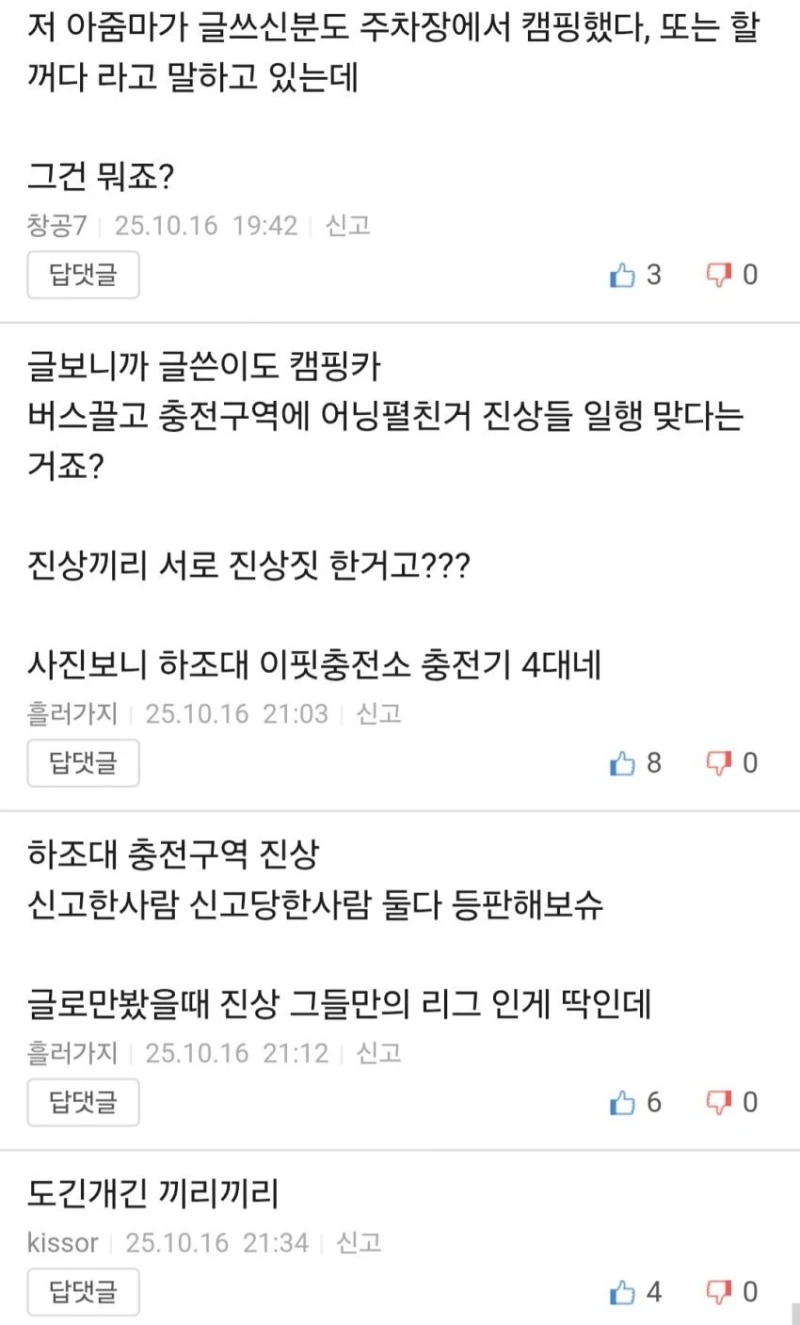뉴스탄 전기차 충전소 캠핑 강아지 민폐녀 논란 반전 -11