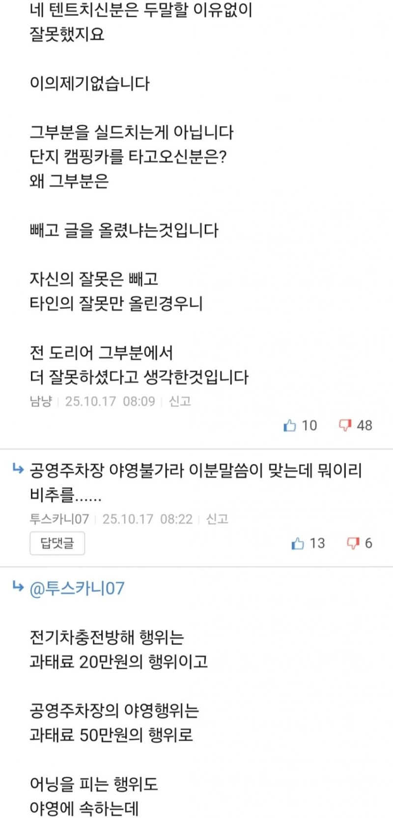 뉴스탄 전기차 충전소 캠핑 강아지 민폐녀 논란 반전 -12