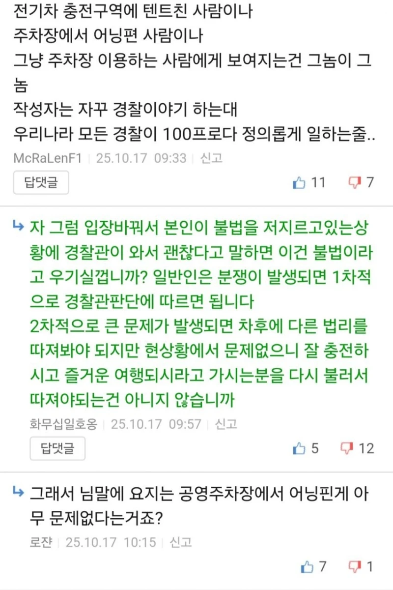 뉴스탄 전기차 충전소 캠핑 강아지 민폐녀 논란 반전 -13