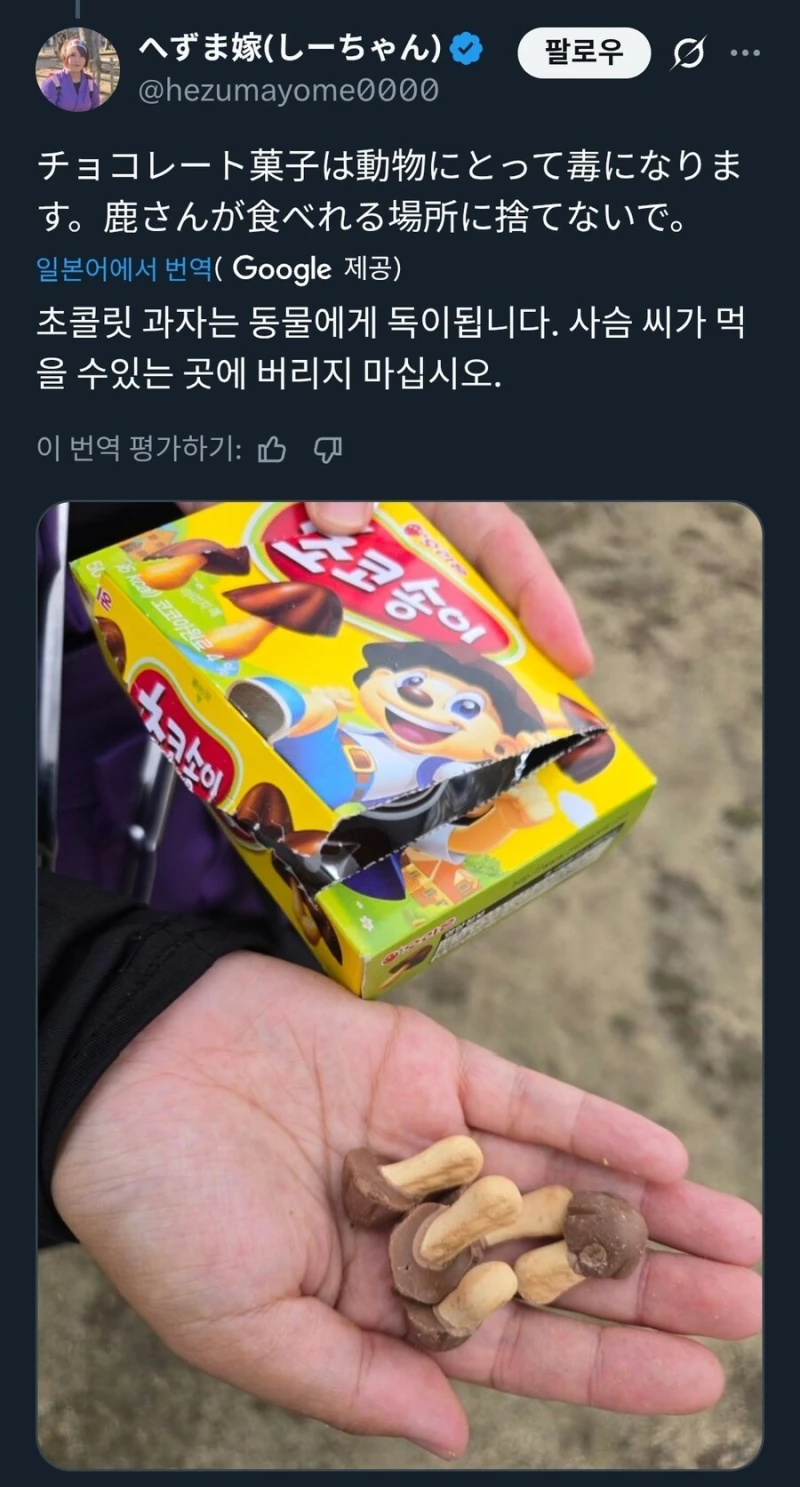 또 난리난 일본 나라사슴공원 트윗 근황-2