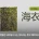 님들 밥 반찬으로 먹는 김이 왜 김인줄 아심? 