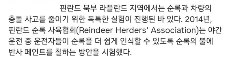 운전자 안전위해 순록뿔에 반사 페인트를 바른 결과 