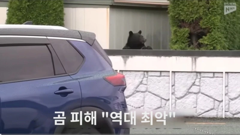 일본이 곰 헌터 공무원(?)을 육성하려는 이유 
