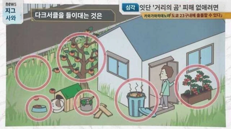 일본이 곰 헌터 공무원(?)을 육성하려는 이유 -10