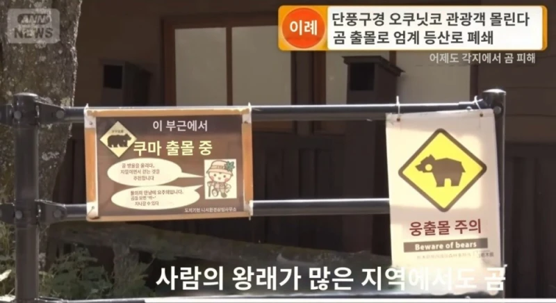 일본이 곰 헌터 공무원(?)을 육성하려는 이유 -12