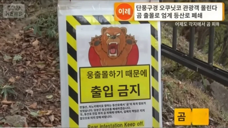 일본이 곰 헌터 공무원(?)을 육성하려는 이유 -13