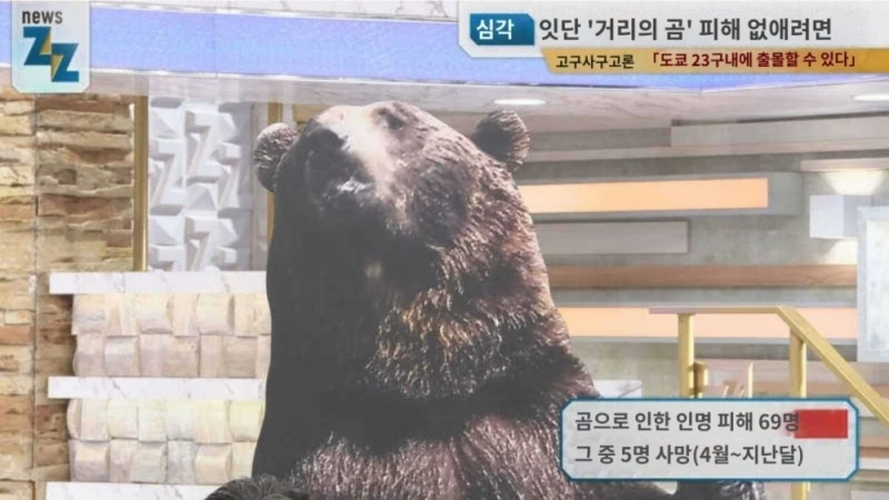일본이 곰 헌터 공무원(?)을 육성하려는 이유 -17