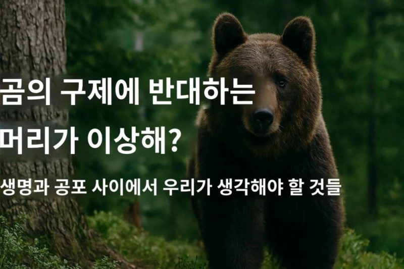 일본이 곰 헌터 공무원(?)을 육성하려는 이유 -18