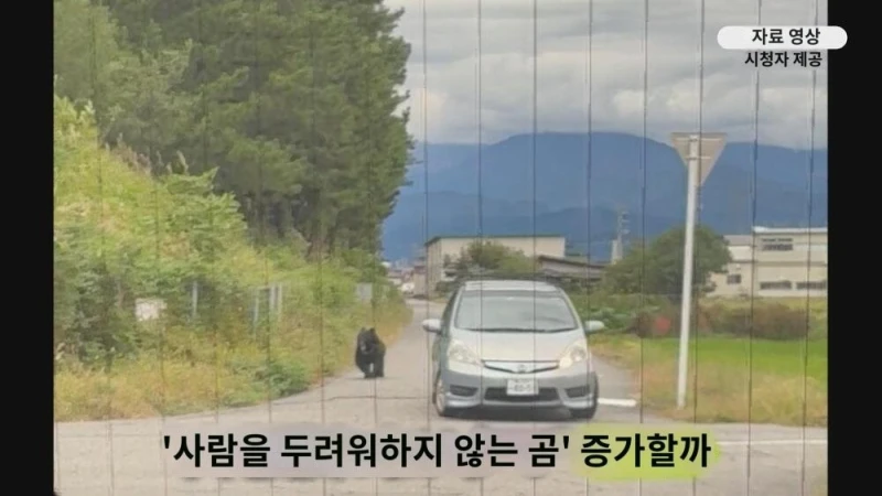일본이 곰 헌터 공무원(?)을 육성하려는 이유 -24