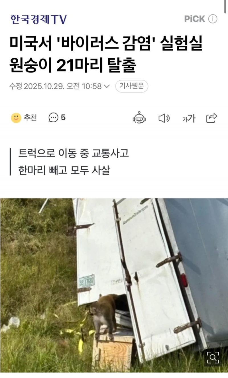 미국서 바이러스 감염 실험실 원숭이들 탈출 