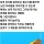 해녀가 성게 잡을때 물고기들한테 성게 까주는 이유