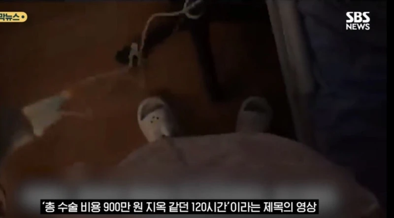 결국 살인 혐의 인정한 36주 태아 낙태 사건 범인 -2