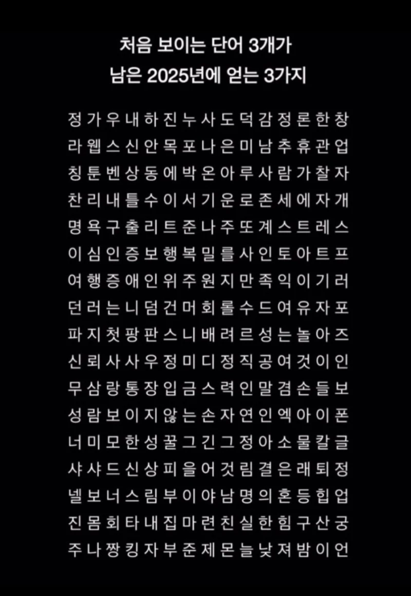 처음 보이는 단어 3개가 남은 2025년에 얻는 3가지