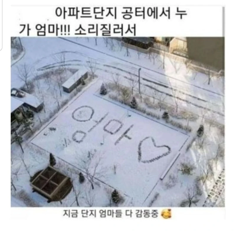 어느 아파트 단지 어머님들 단체로 감동 받은 사연