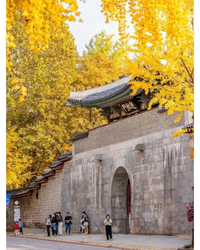 레딧에 올라오는 대한민국 사진들-2