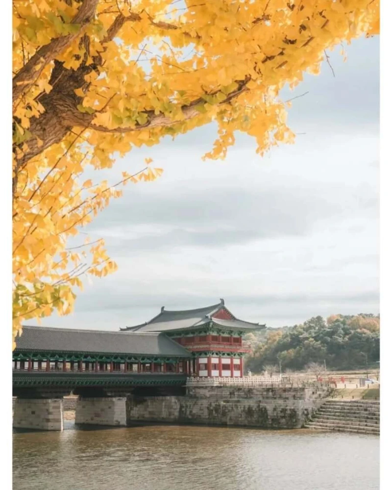 레딧에 올라오는 대한민국 사진들-6