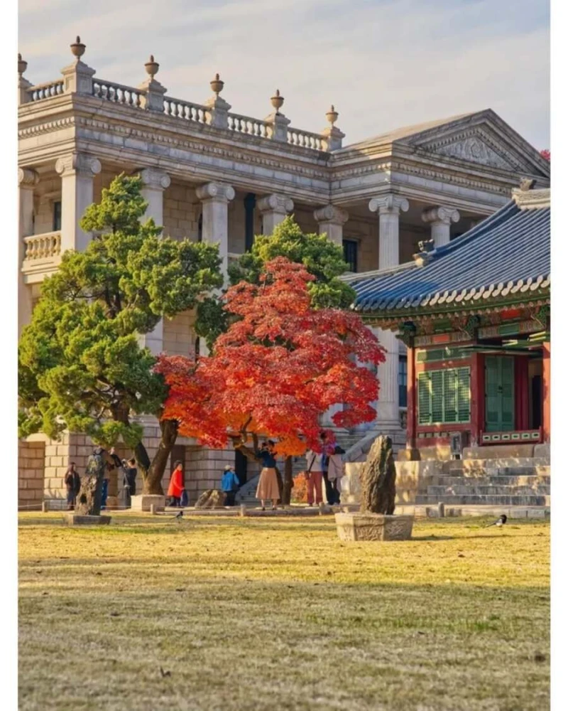 레딧에 올라오는 대한민국 사진들-7