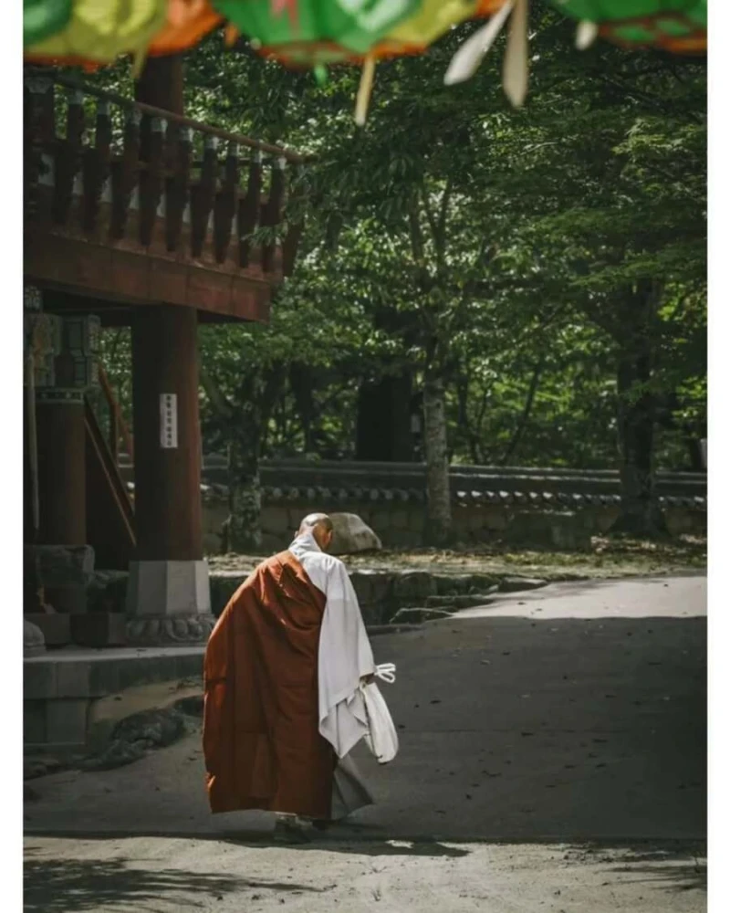 레딧에 올라오는 대한민국 사진들-11