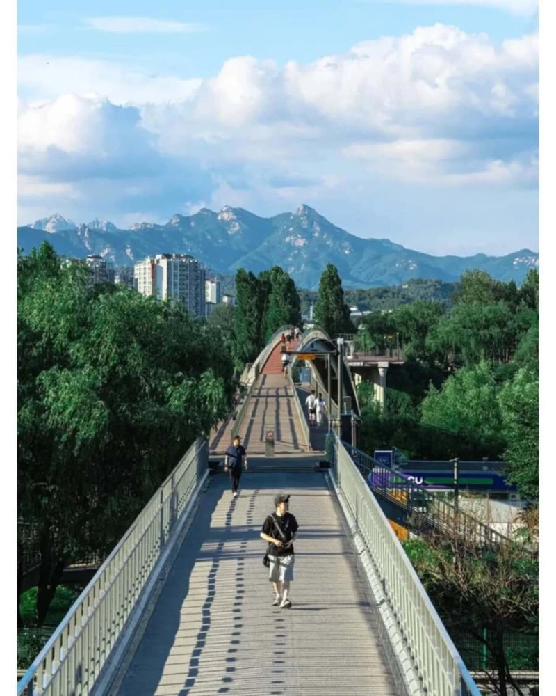 레딧에 올라오는 대한민국 사진들-15