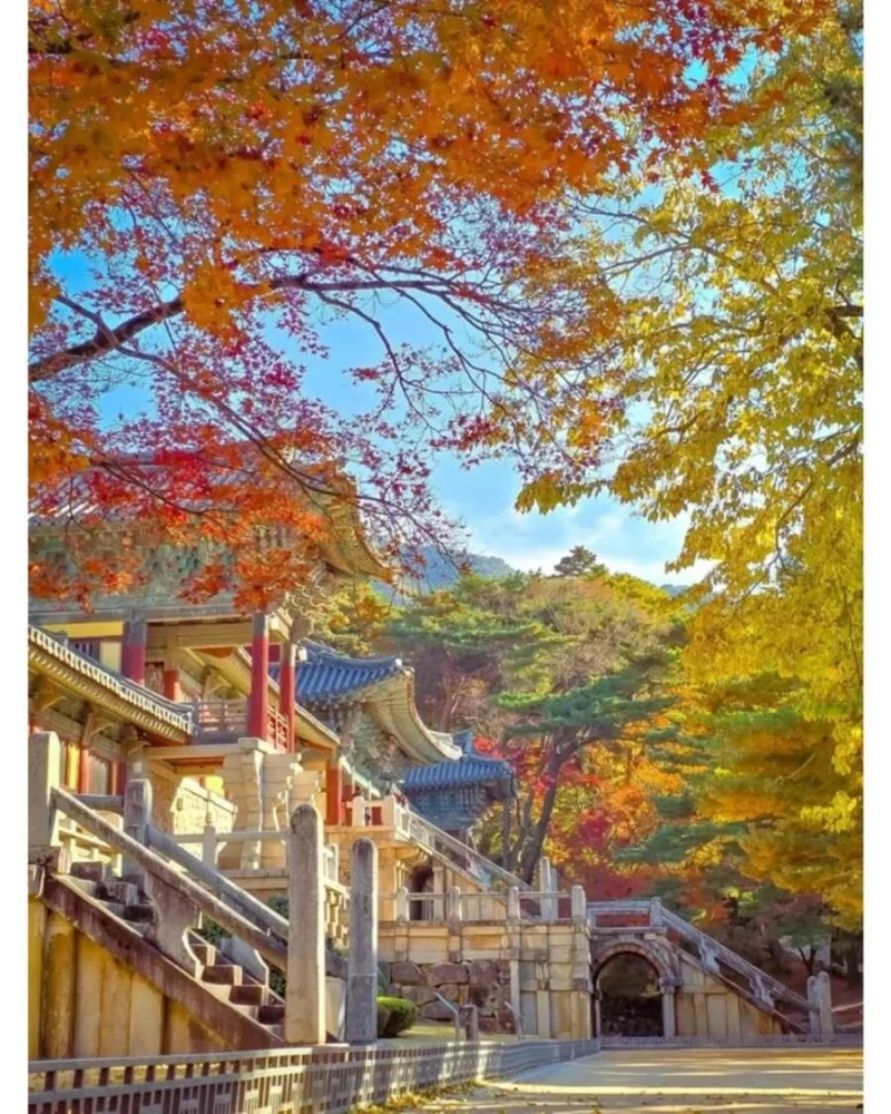 레딧에 올라오는 대한민국 사진들-18