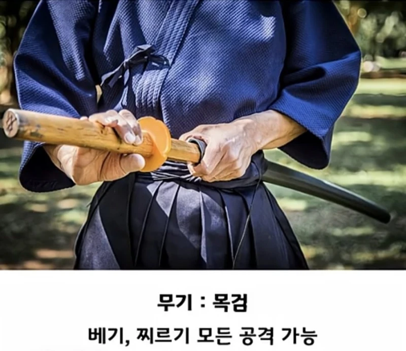 검도 세계 챔피언 vs UFC 챔피언-3