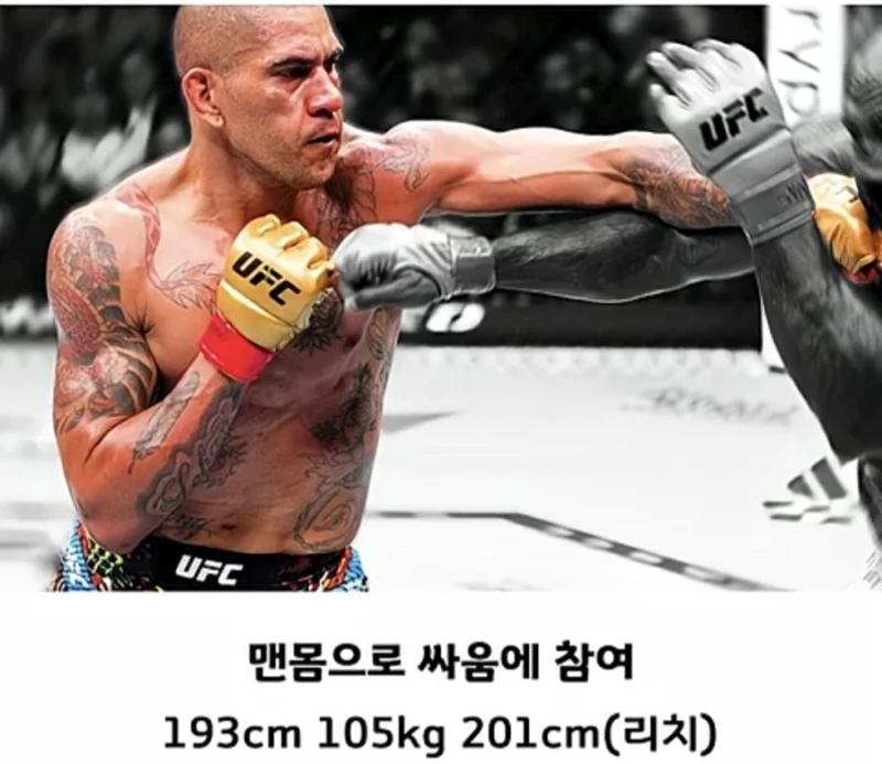 검도 세계 챔피언 vs UFC 챔피언-5