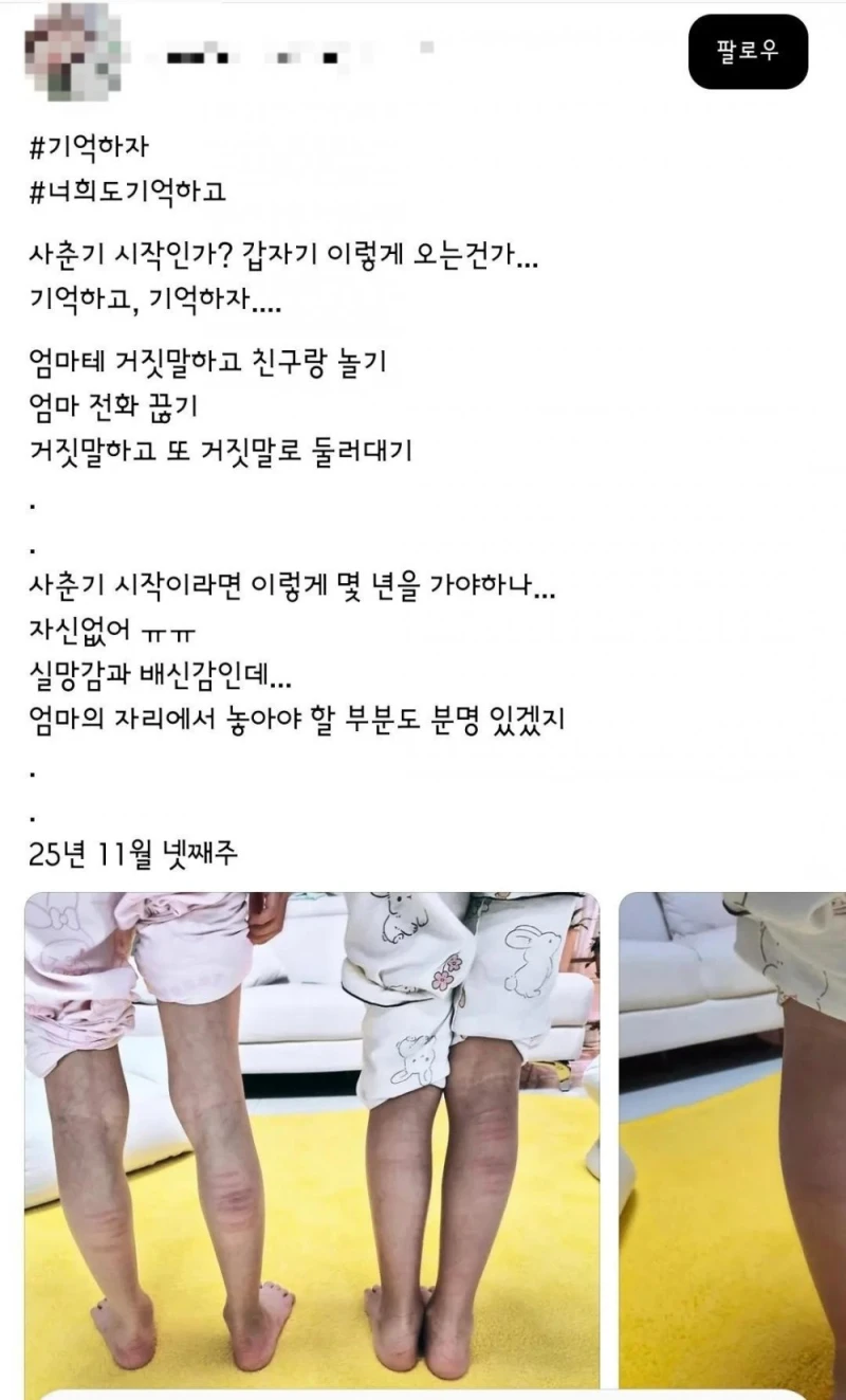 SNS 아동학대 인증 논란