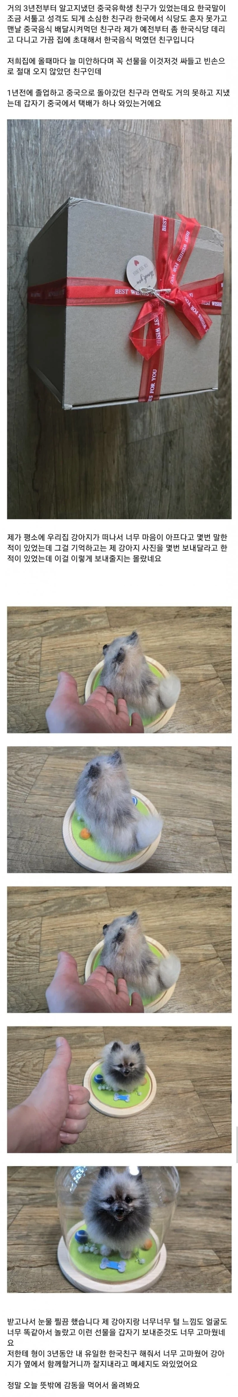 죽은 강아지 사진을 보내달라한 외국인 동생 