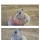 죽은 강아지 사진 보내달라던 중국인
