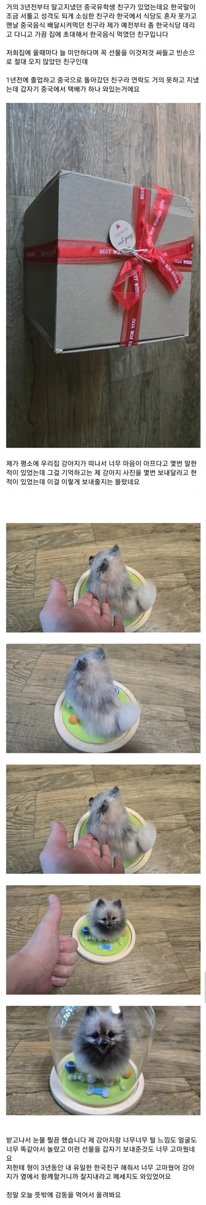 죽은 강아지 사진 보내달라던 중국인
