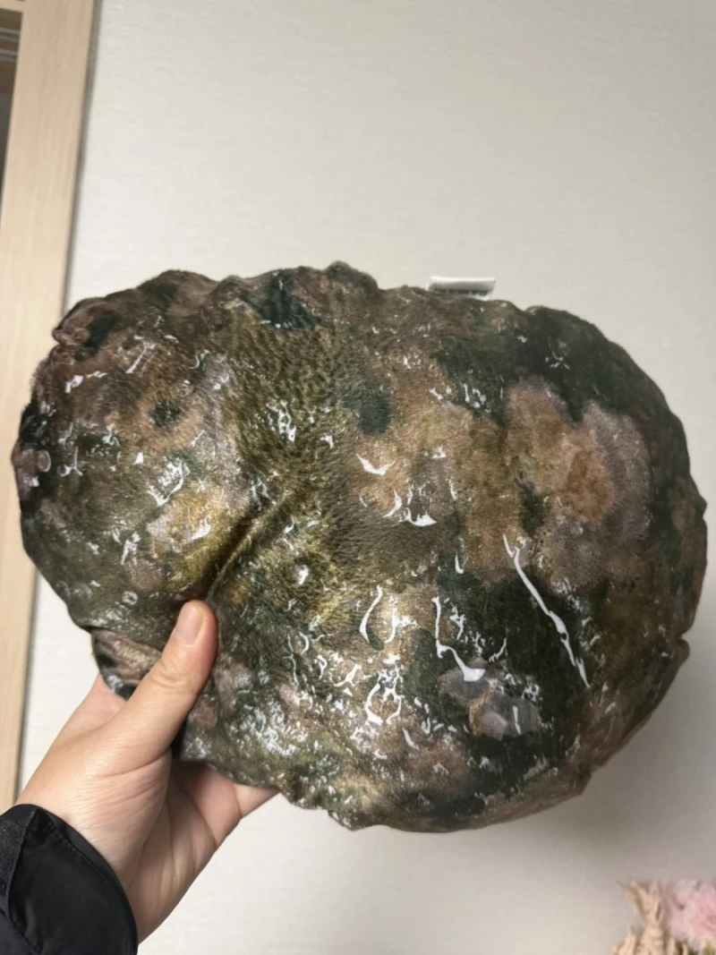 완도에 기부하면 주는 전복 쿠션-2