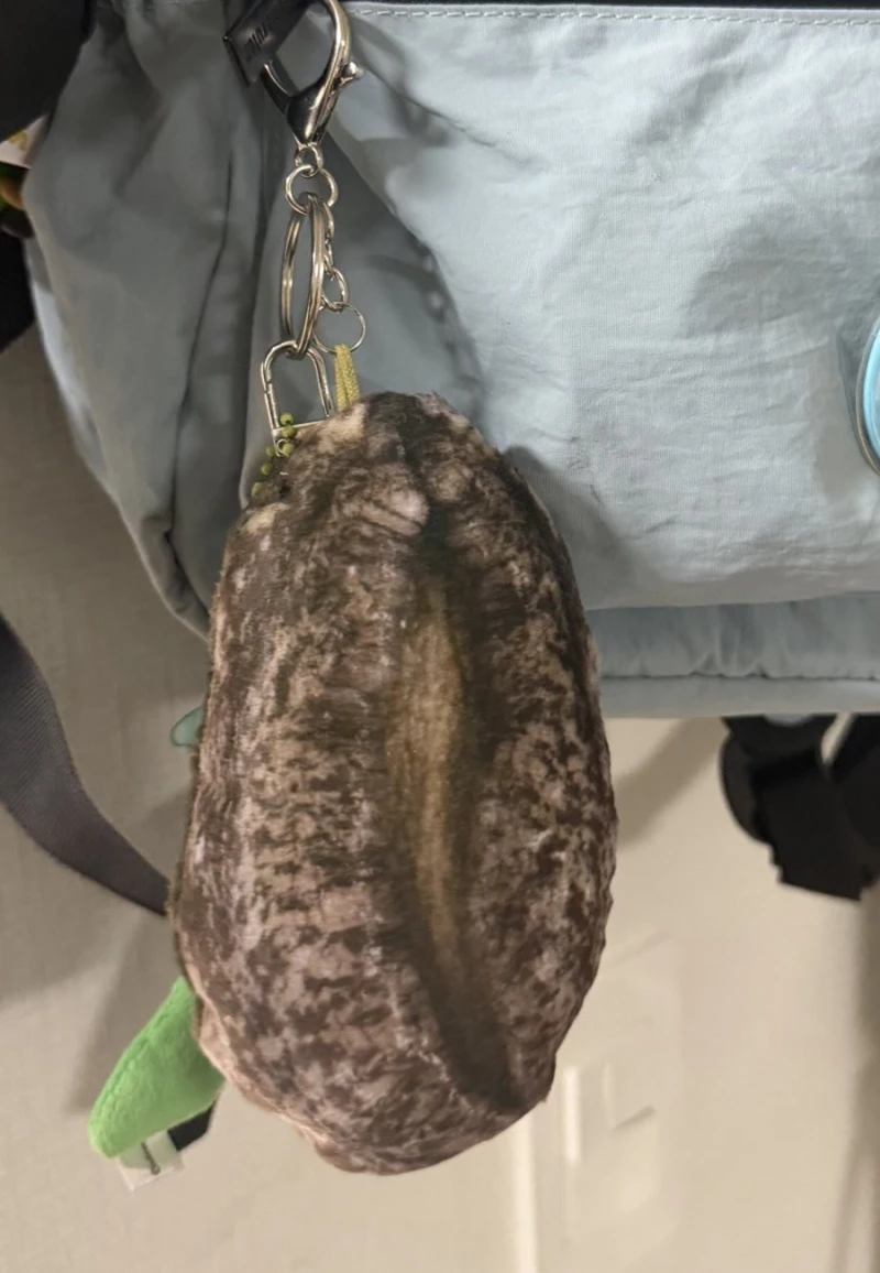 완도에 기부하면 주는 전복 쿠션-4