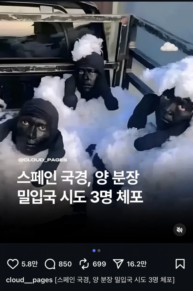 동물로 분장하고 스페인 밀입국시도 3명 체포 